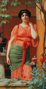 Nerissa, 1906